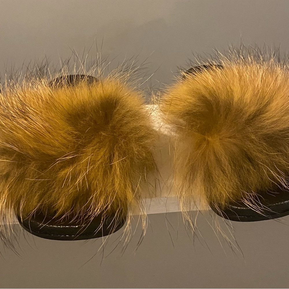 Furry slides